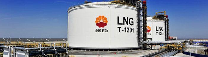 LNG专用软管，LNG软管，输送LNG,LNG复合软管